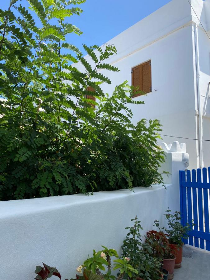 Blue Pearl Apartment Glinado Naxos Exterior foto