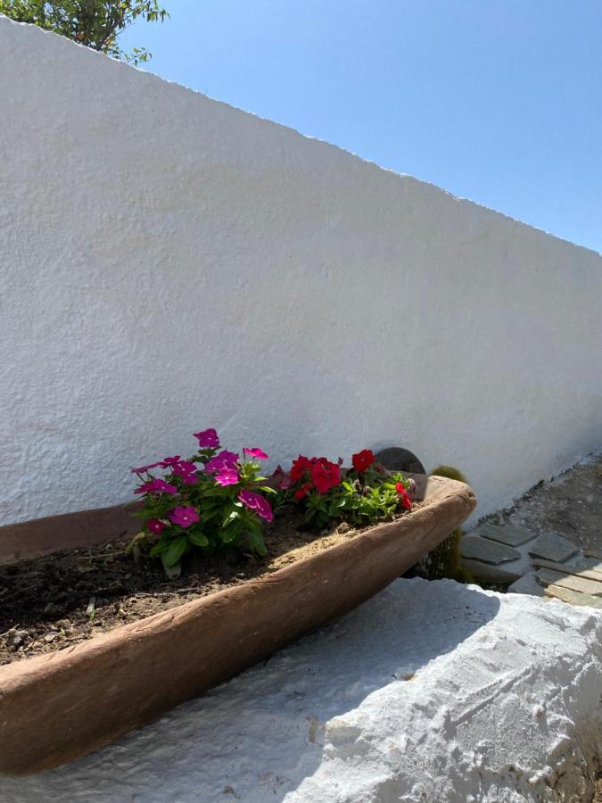 Blue Pearl Apartment Glinado Naxos Exterior foto
