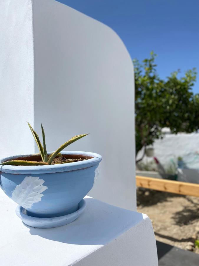 Blue Pearl Apartment Glinado Naxos Exterior foto